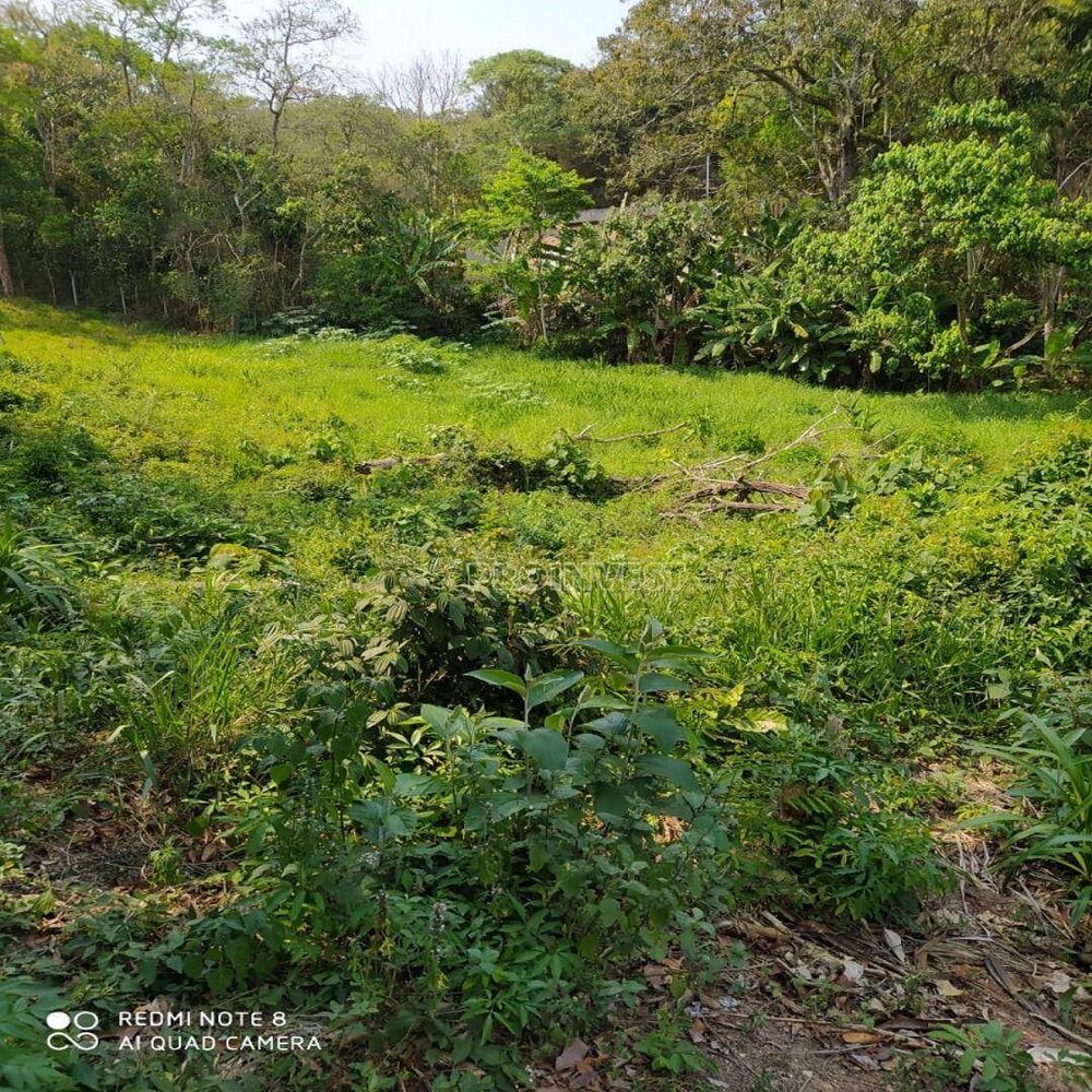 Terreno, 1410 m² - Foto 4