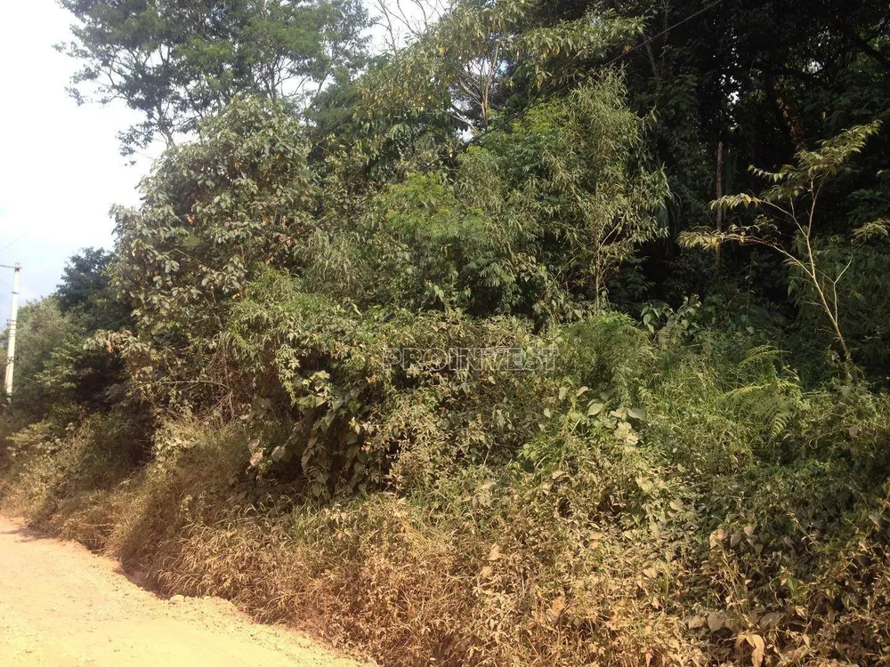 Terreno, 3700 m² - Foto 4