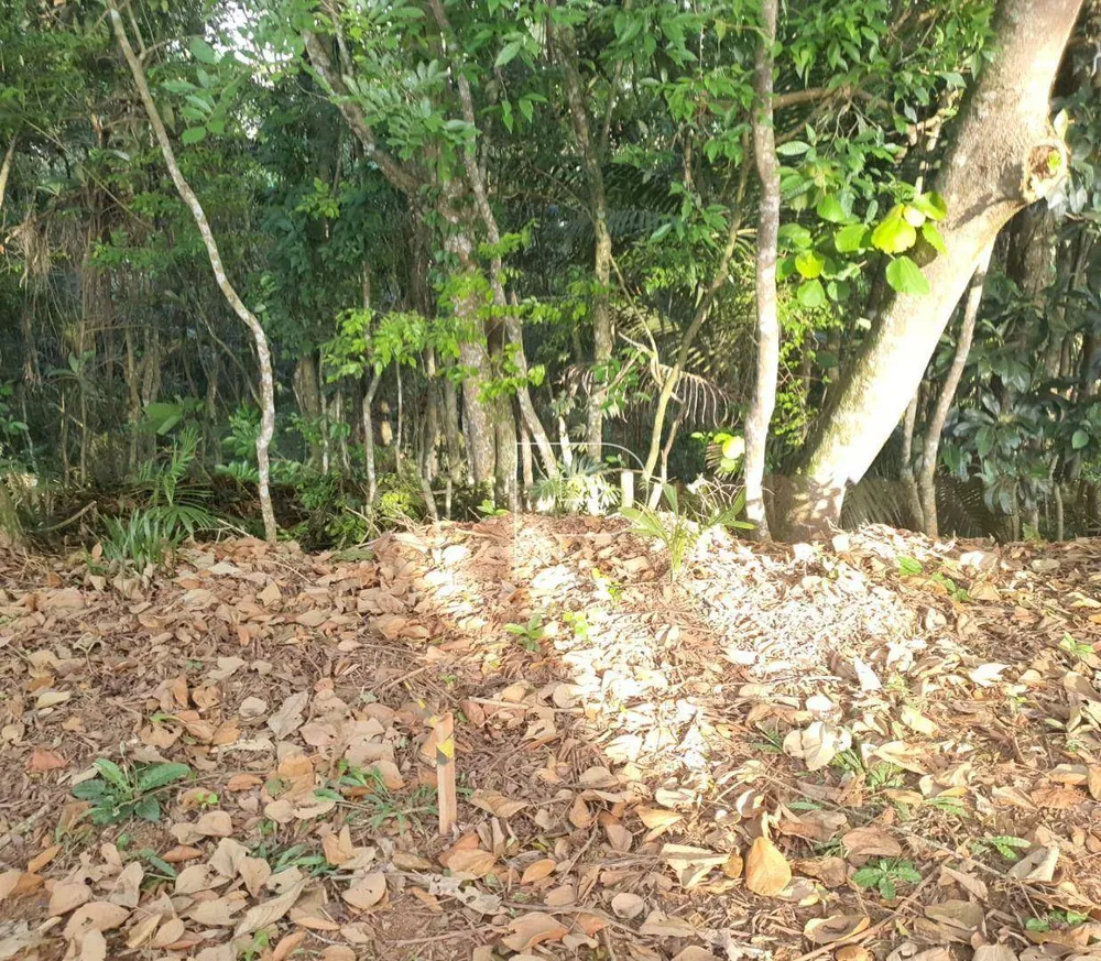 Loteamento e Condomínio, 1968 m² - Foto 15