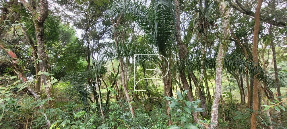 Loteamento e Condomínio, 1396 m² - Foto 2