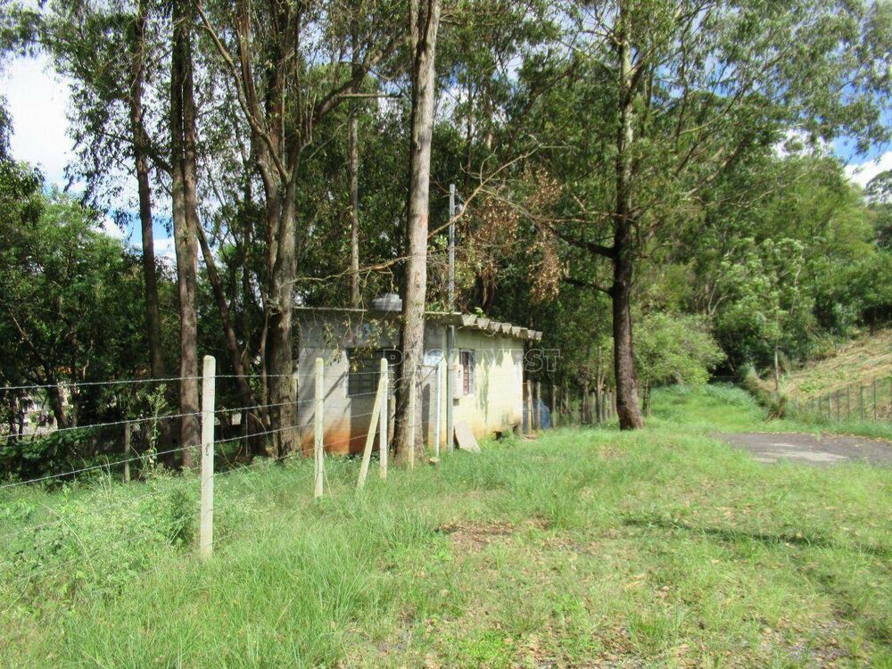 Terreno, 5936 m² - Foto 6