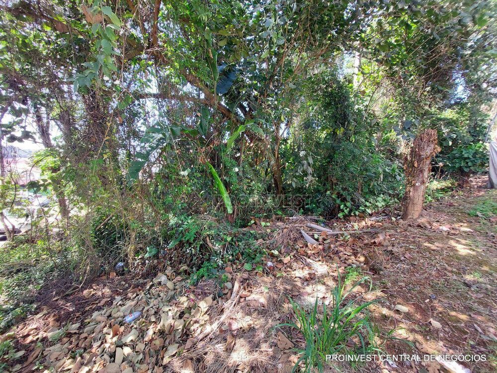 Loteamento e Condomínio, 501 m² - Foto 5