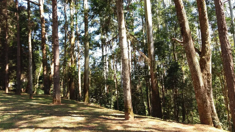 Loteamento e Condomínio, 3688 m² - Foto 2