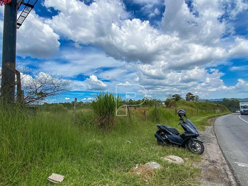 Terreno, 10 hectares - Foto 8