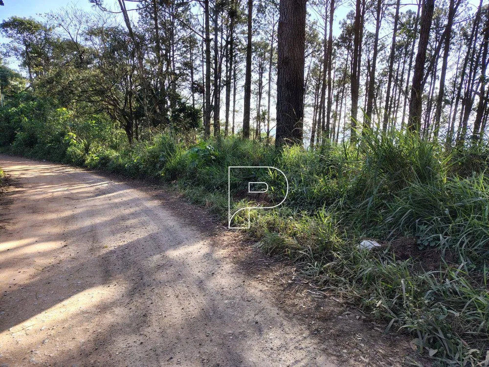 Terreno, 23 hectares - Foto 1