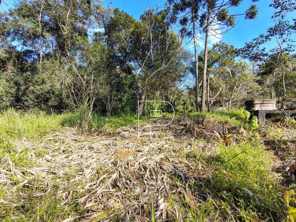 Terreno, 23 hectares - Foto 7
