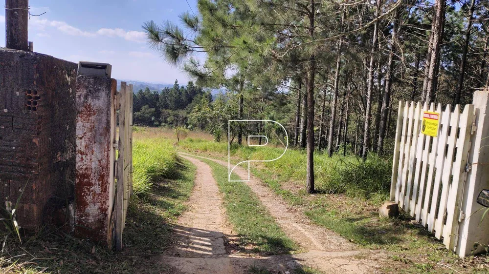 Terreno, 23 hectares - Foto 8