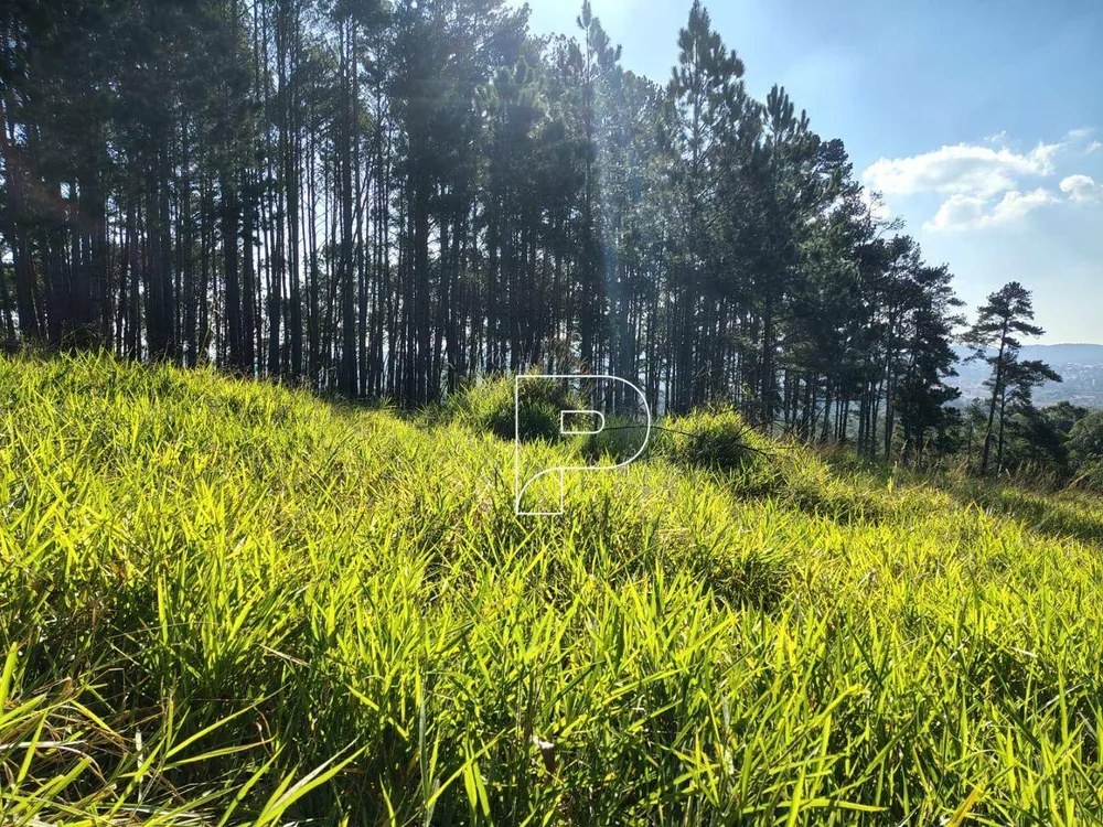 Terreno, 23 hectares - Foto 3