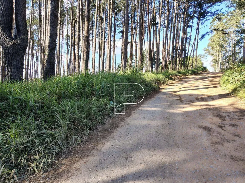 Terreno, 23 hectares - Foto 2