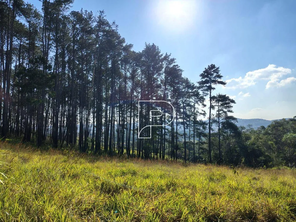 Terreno, 23 hectares - Foto 4