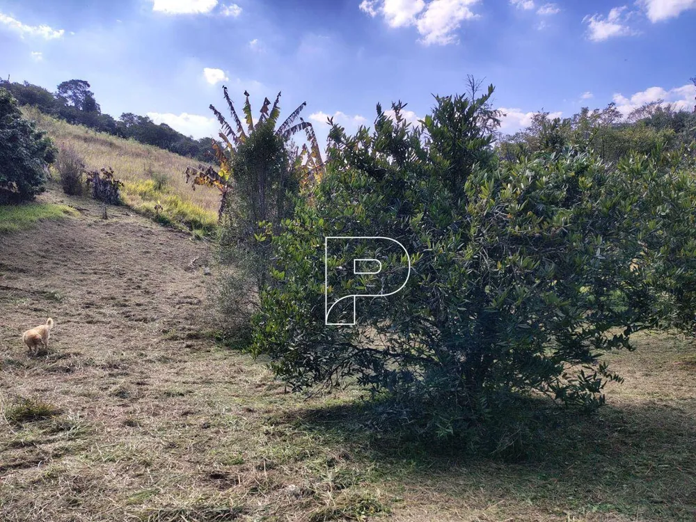 Terreno, 23 hectares - Foto 6