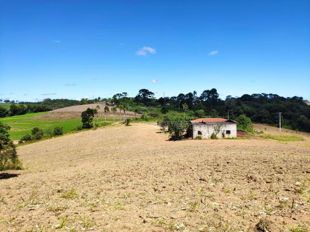 Sítio, 4 quartos, 9 hectares - Foto 6