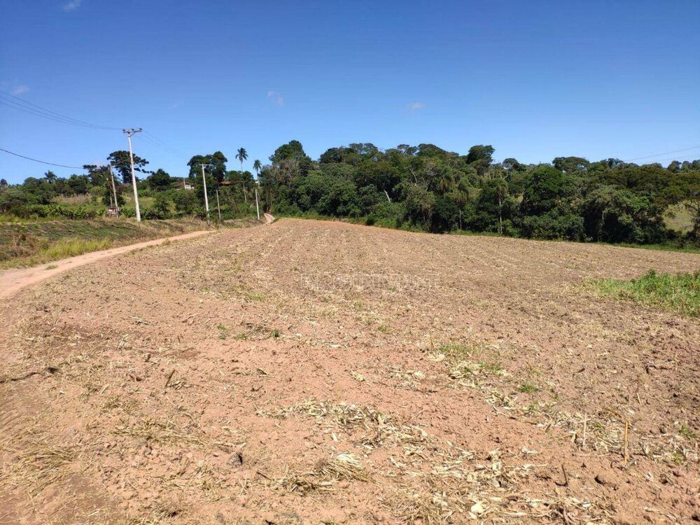 Sítio à venda com 4 quartos, 200m² - Foto 2