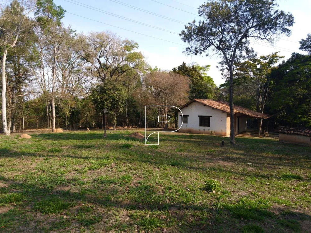 Terreno, 6 hectares - Foto 4