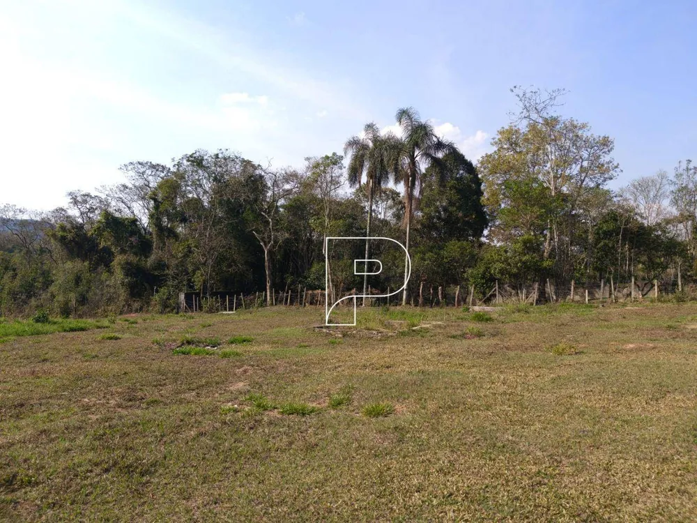 Terreno, 6 hectares - Foto 9