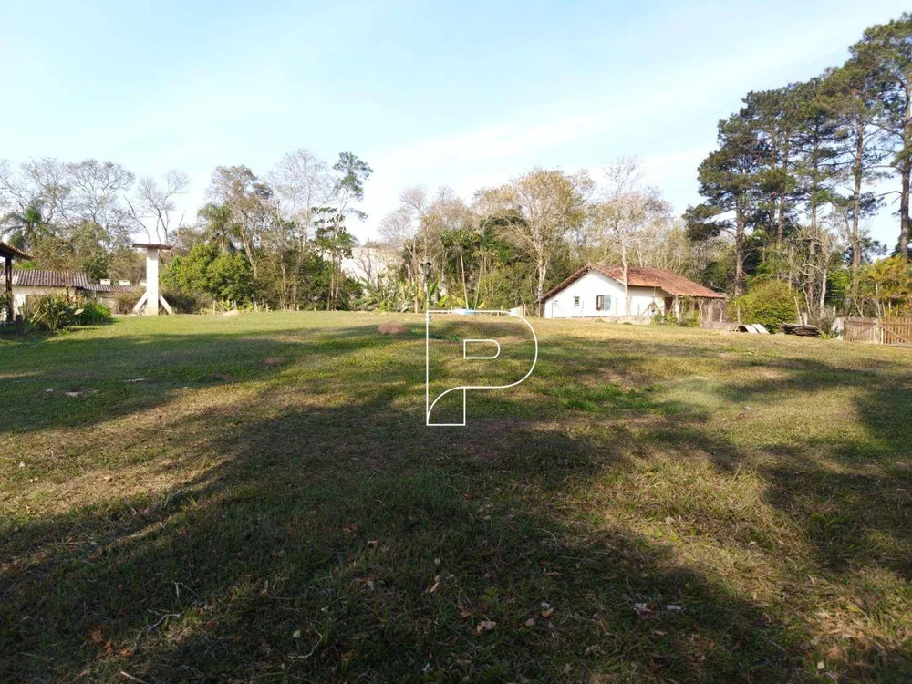 Terreno, 6 hectares - Foto 3