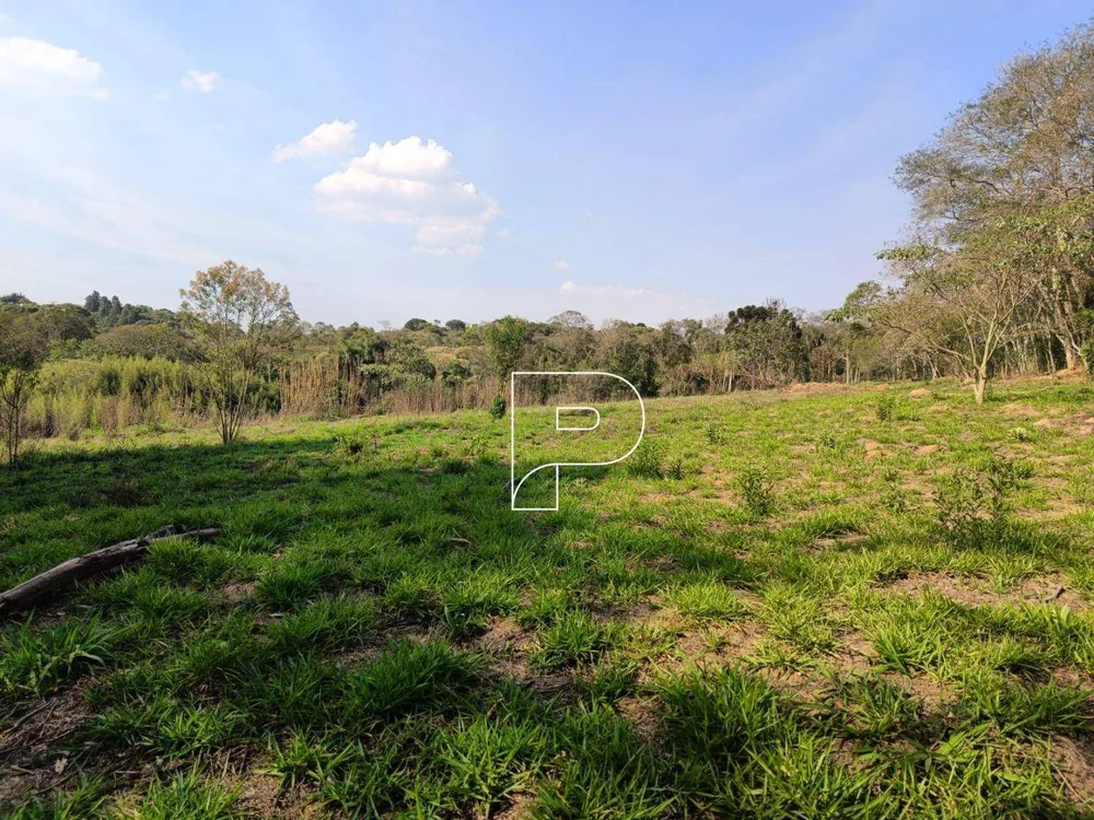 Terreno, 6 hectares - Foto 11