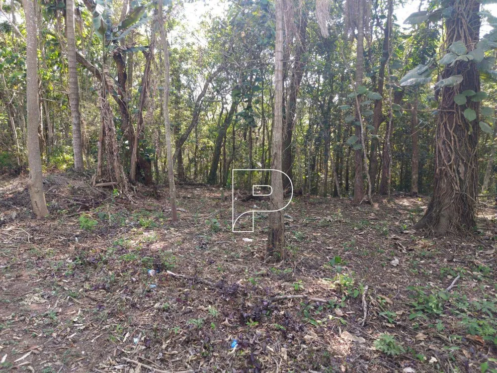 Terreno, 6 hectares - Foto 12
