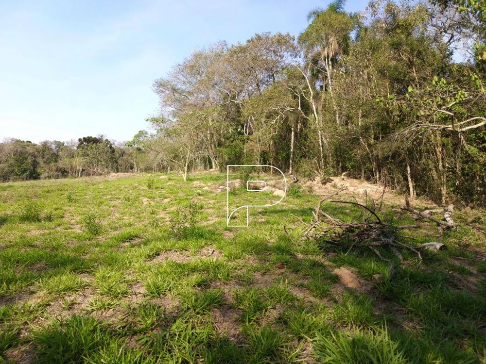 Terreno, 6 hectares - Foto 10