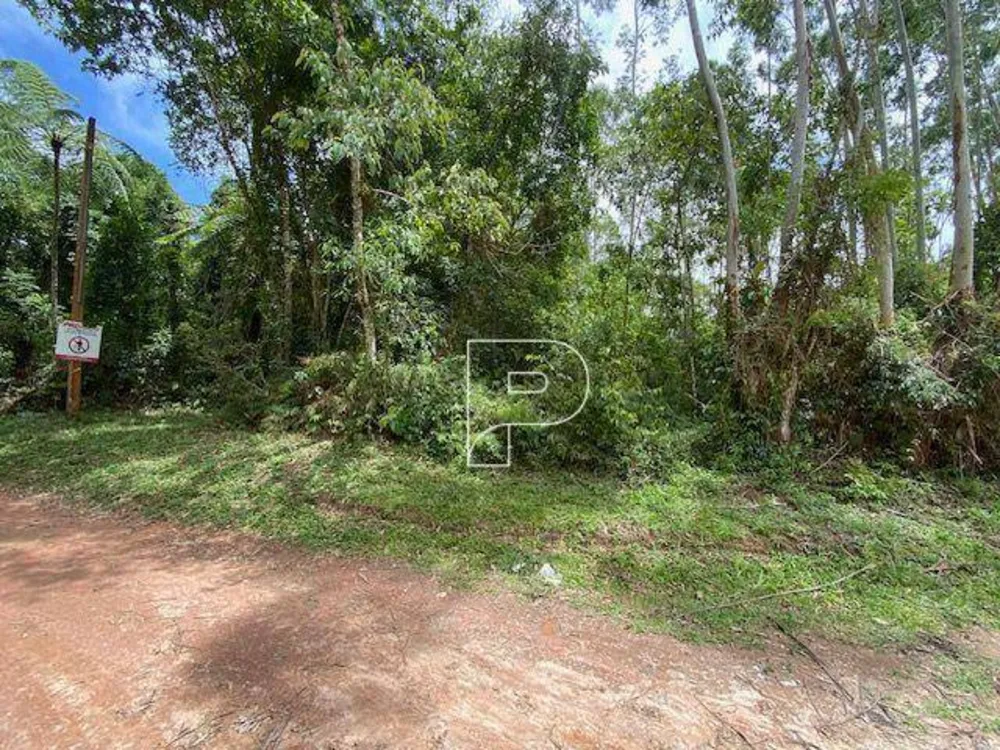 Terreno, 7984 m² - Foto 1