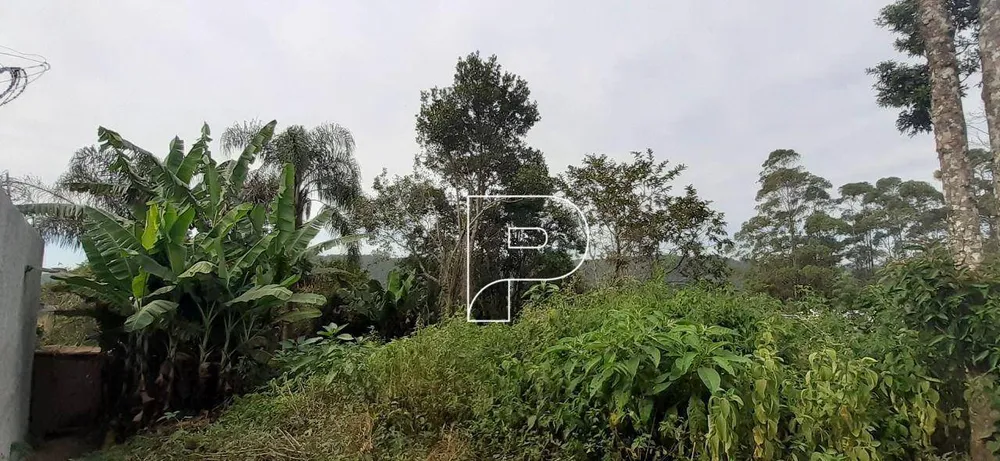 Terreno, 800 m² - Foto 1