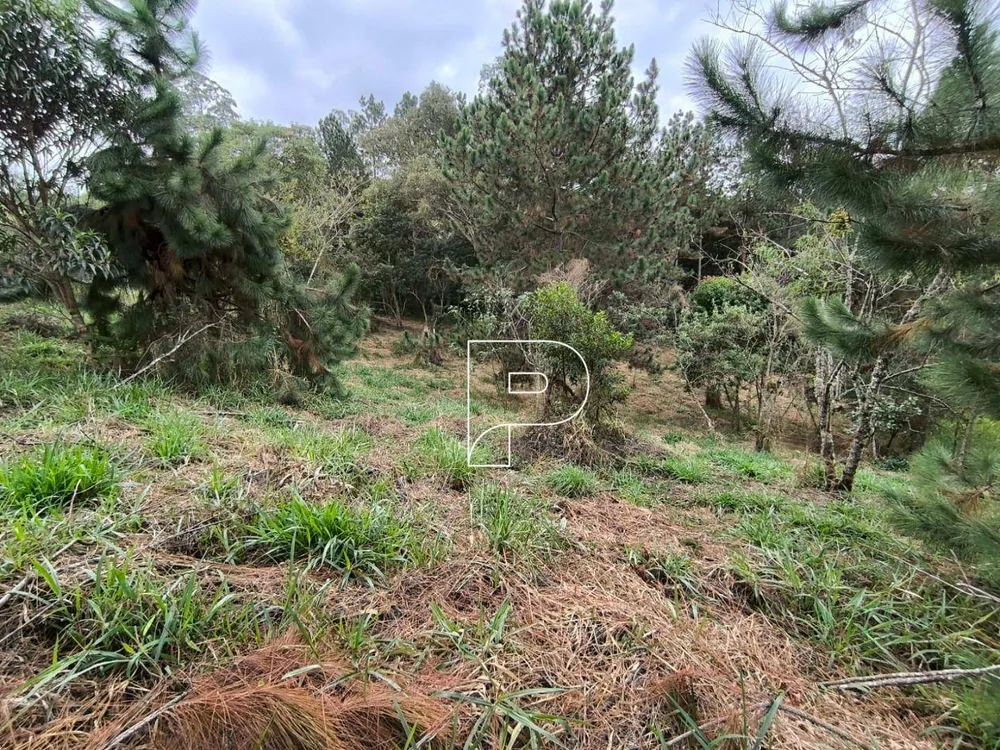 Loteamento e Condomínio, 1000 m² - Foto 6