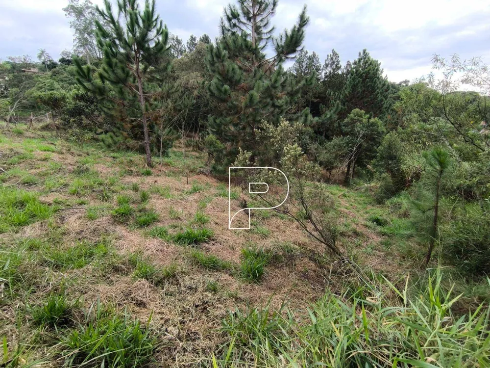 Loteamento e Condomínio, 1000 m² - Foto 4