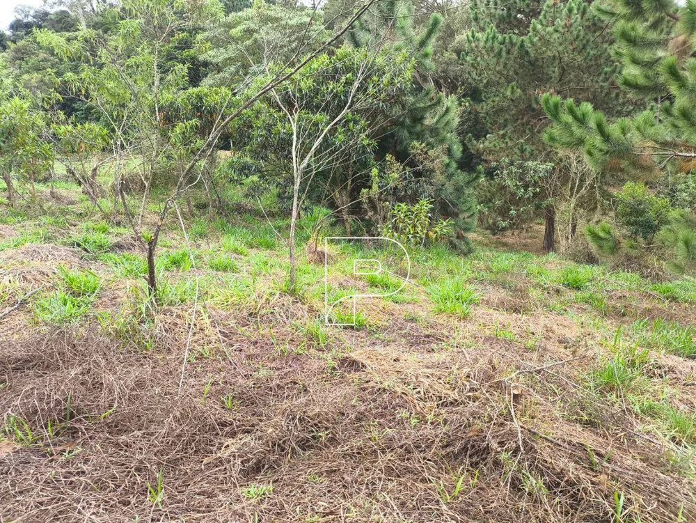Loteamento e Condomínio, 1000 m² - Foto 8