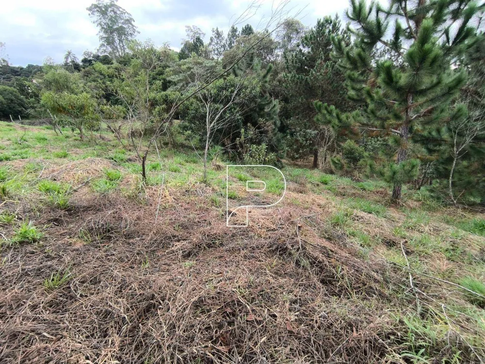 Loteamento e Condomínio, 1000 m² - Foto 7