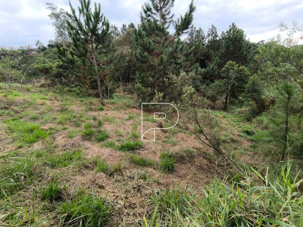 Loteamento e Condomínio, 1000 m² - Foto 5