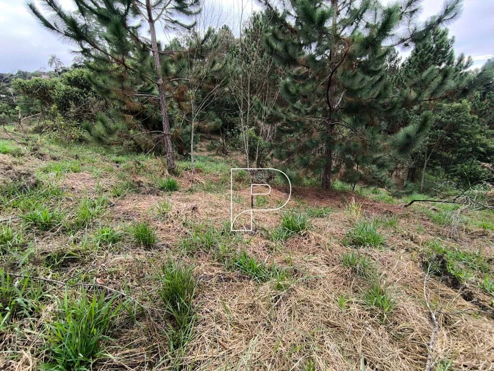Loteamento e Condomínio, 1000 m² - Foto 3