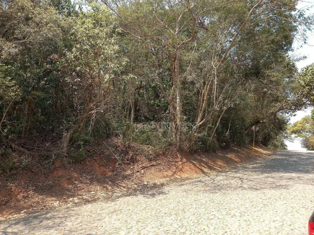Loteamento e Condomínio, 3009 m² - Foto 4