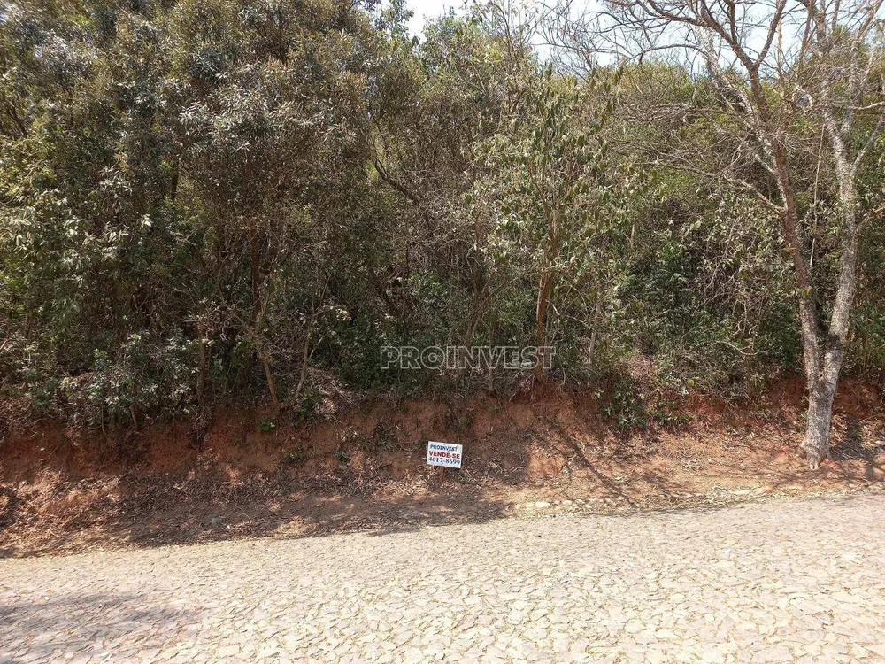 Loteamento e Condomínio, 3009 m² - Foto 3