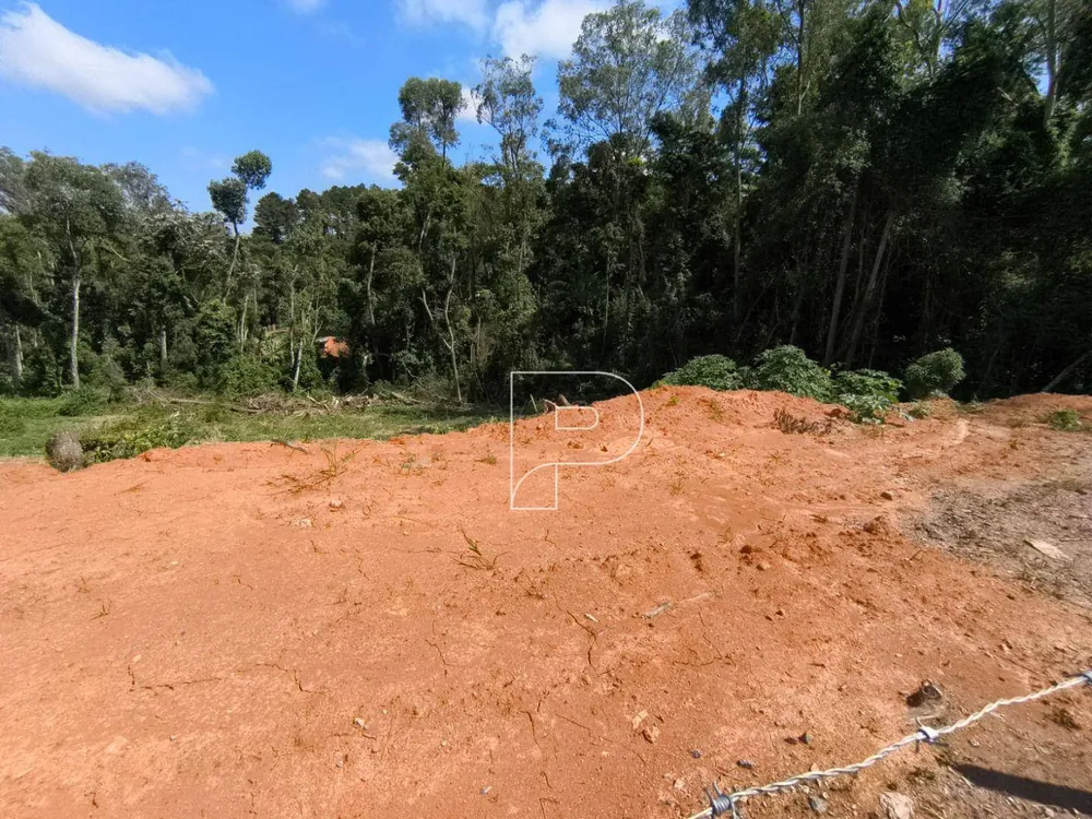 Terreno, 6202 m² - Foto 5