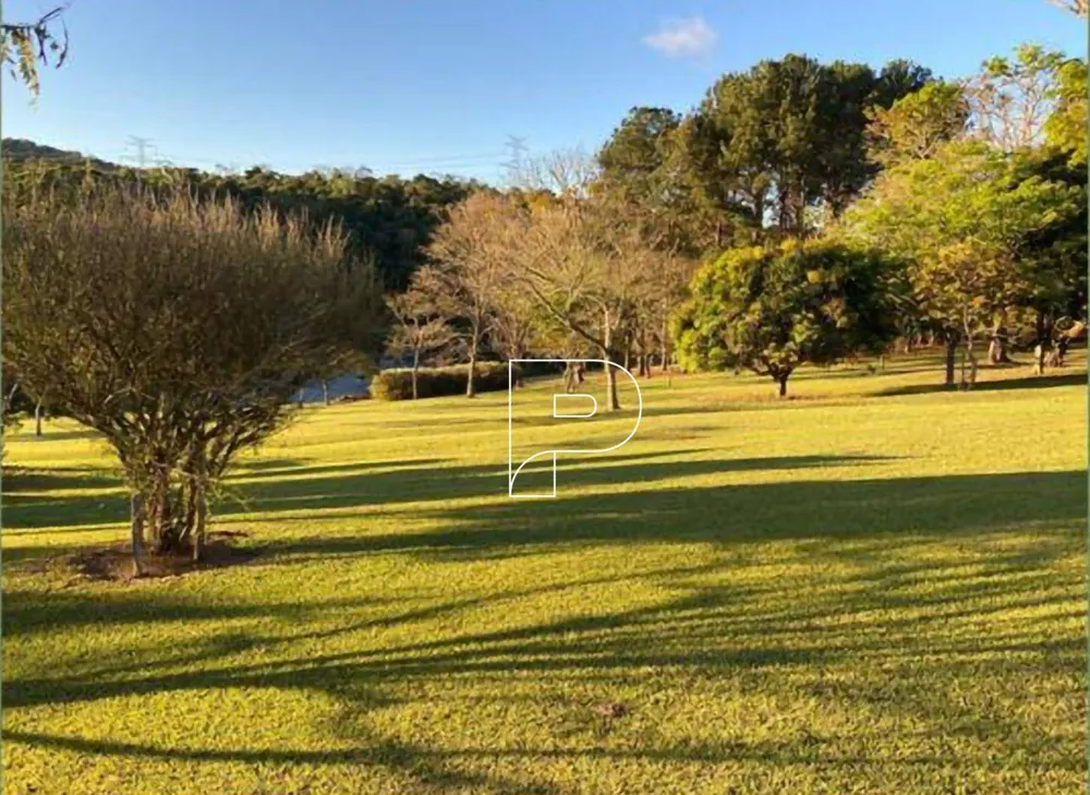 Sítio, 4 quartos, 10 hectares - Foto 2