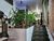 Casa, 3 quartos, 342 m² - Foto 3