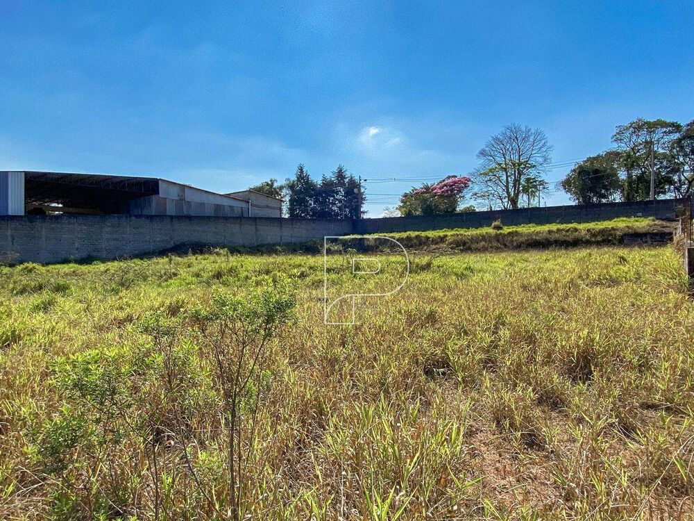 Terreno, 2 hectares - Foto 4