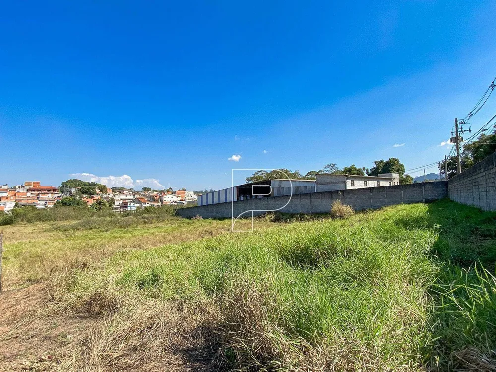 Terreno, 2 hectares - Foto 4