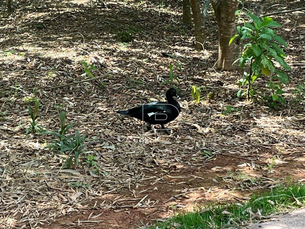 Loteamento e Condomínio, 509 m² - Foto 6