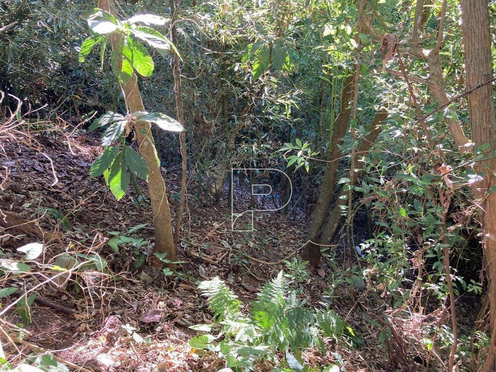 Loteamento e Condomínio, 759 m² - Foto 1