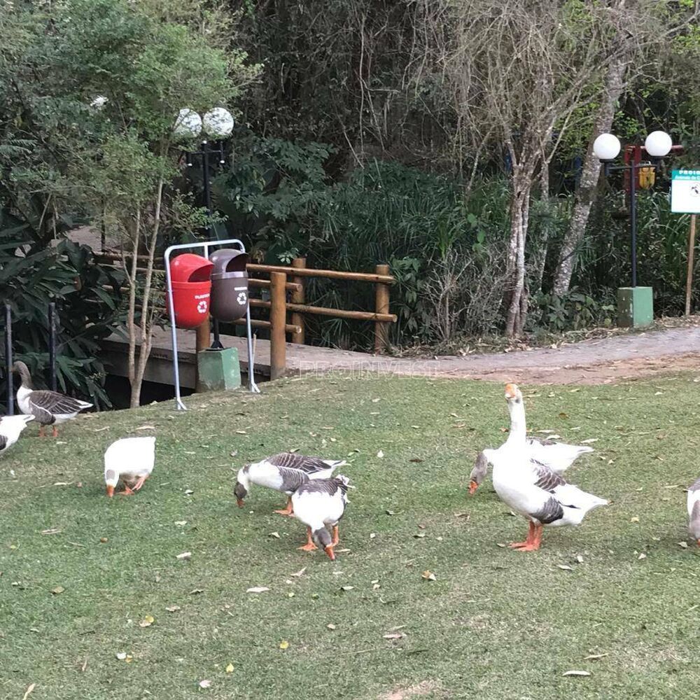 Loteamento e Condomínio, 759 m² - Foto 10