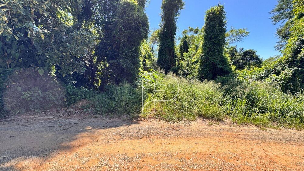 Loteamento e Condomínio, 1200 m² - Foto 4