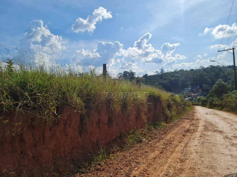 Terreno, 10 hectares - Foto 9