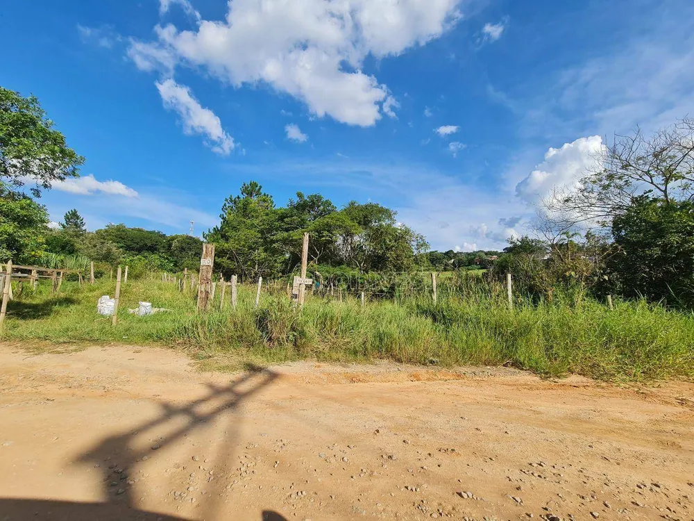 Terreno, 10 hectares - Foto 7