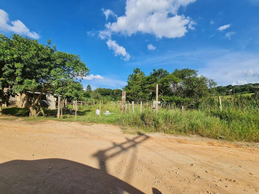Terreno, 10 hectares - Foto 6