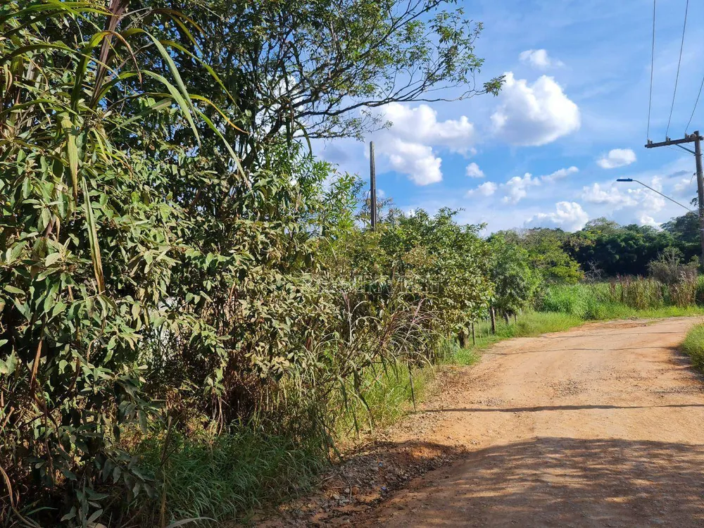 Terreno, 10 hectares - Foto 8