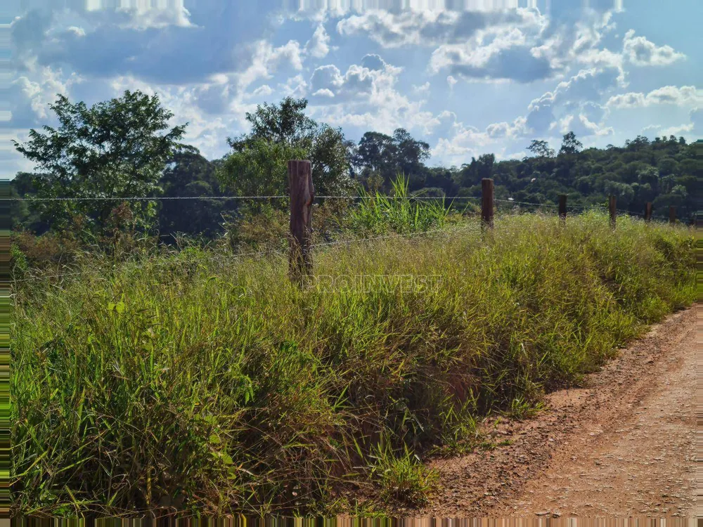 Terreno, 10 hectares - Foto 11