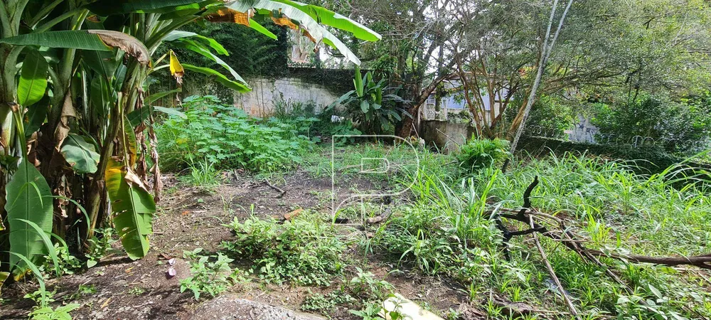 Terreno, 3800 m² - Foto 11