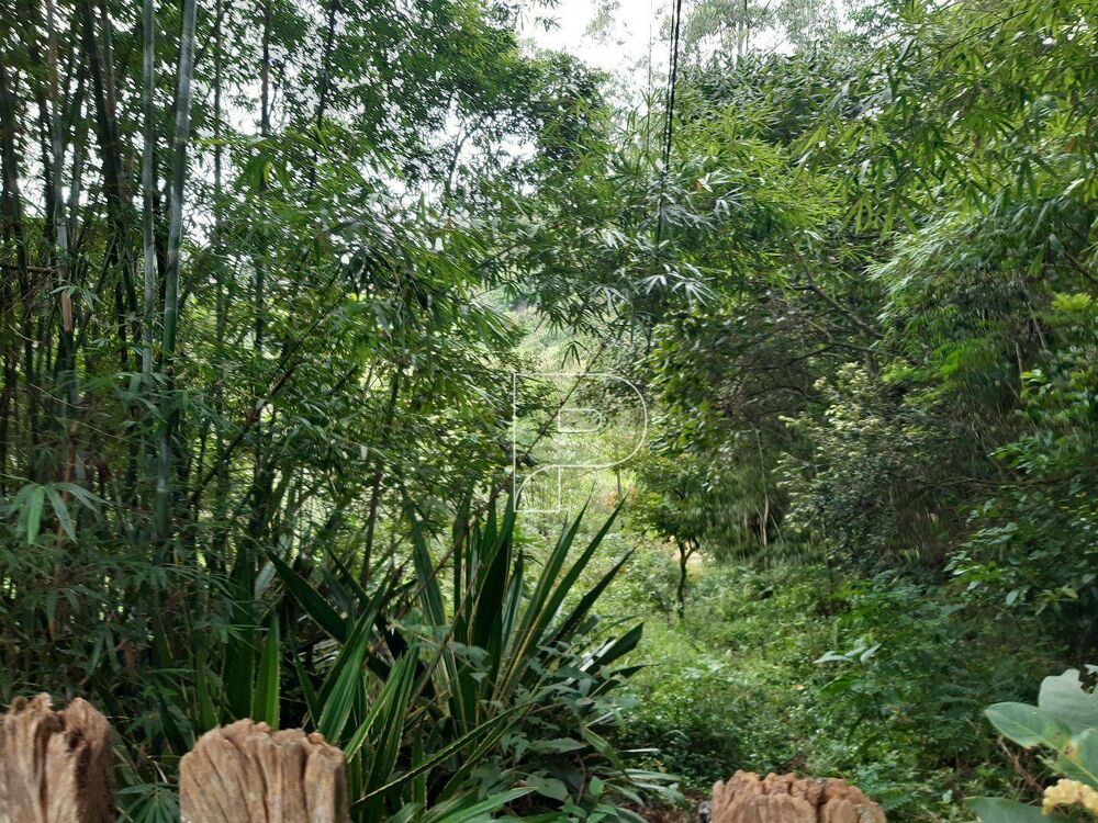 Terreno, 4138 m² - Foto 8