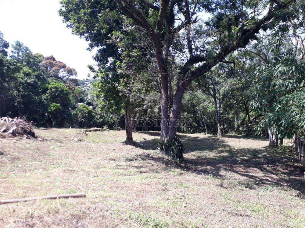 Terreno, 5757 m² - Foto 6